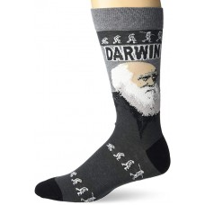 K. Bell Men's Darwin Crew Socks 1 Pair, Charcoal Heather, Men's  Size Shoe 10-13