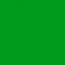 FeetPeople Round Lace Lanyard, Kelly Green